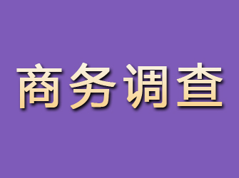 汝阳商务调查