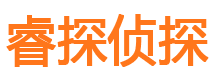 汝阳市调查公司